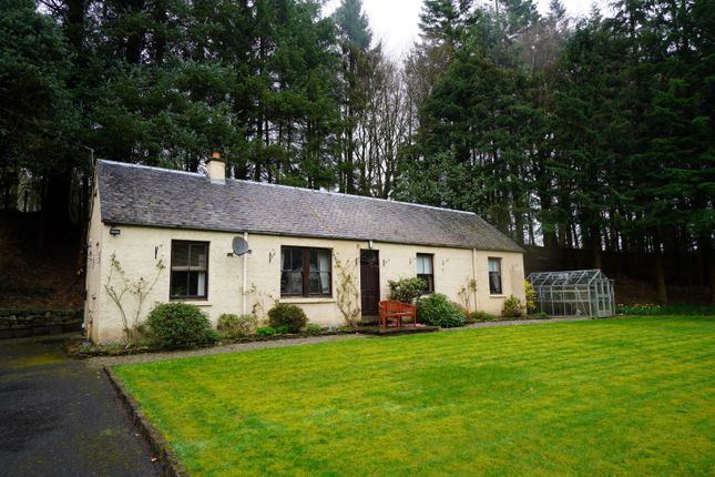 Thumbnail Cottage to rent in Strathblane, Glasgow