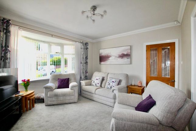 Long Bank, Birtley photo 4