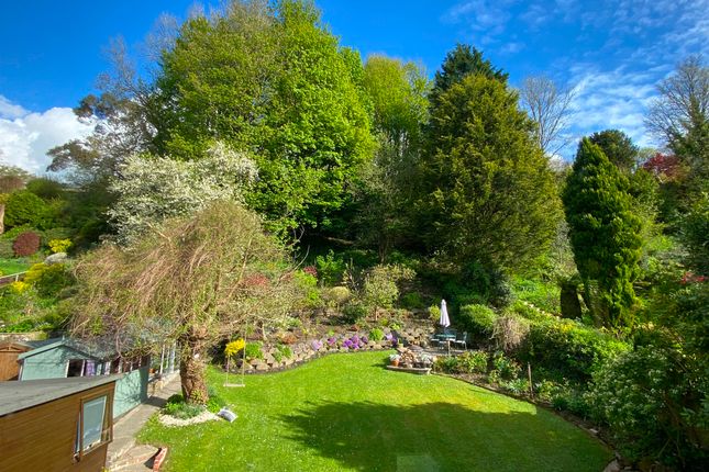 20 Yeatmans Close, Shaftesbury photo 4