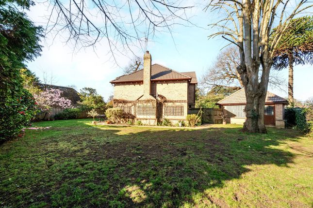 Court Cottage,, Coldharbour Road, Surrey photo 4