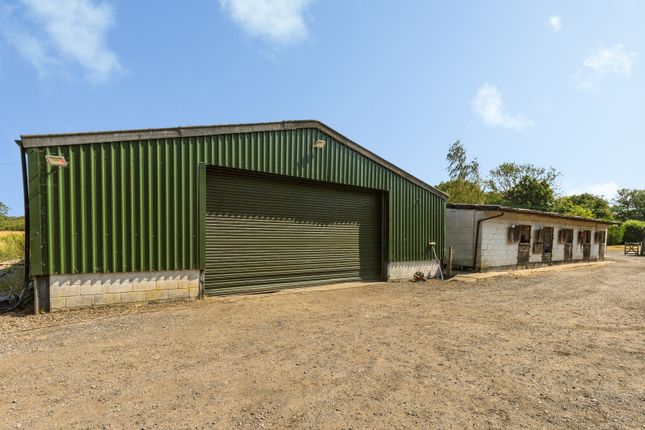 Runnymeade Farm,, Reeds Lane, Horsham photo 3