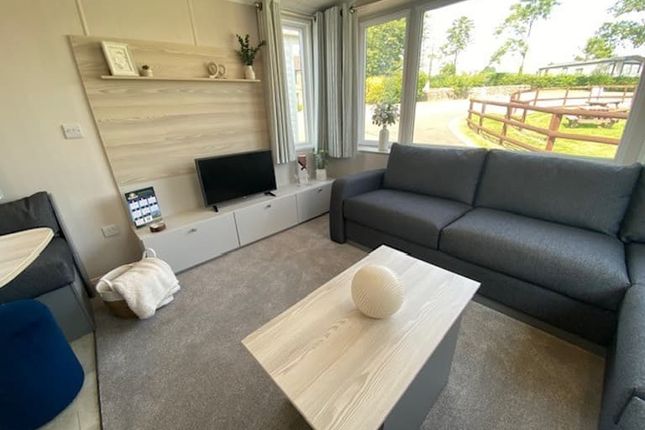 Swift Loire, Ashbourne Heights Park, Ashbourne photo 3