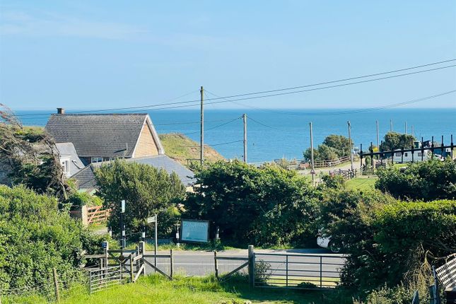6 Seabreeze Cottages, Military Road, Newport photo 3