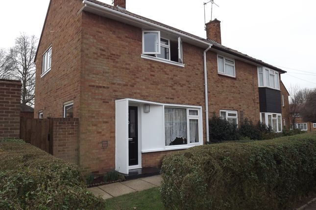 Semi-detached house to rent in Hornby Avenue, Southend-On-Sea