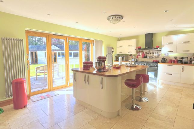 53 The Glade, Ashley Heath, Ringwood photo 3