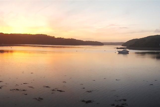 20170616_220542.Jpg