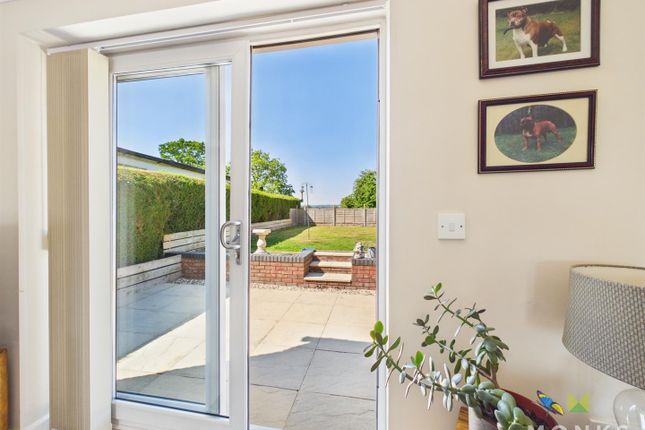 Dogberry, Rhewl, Oswestry photo 4