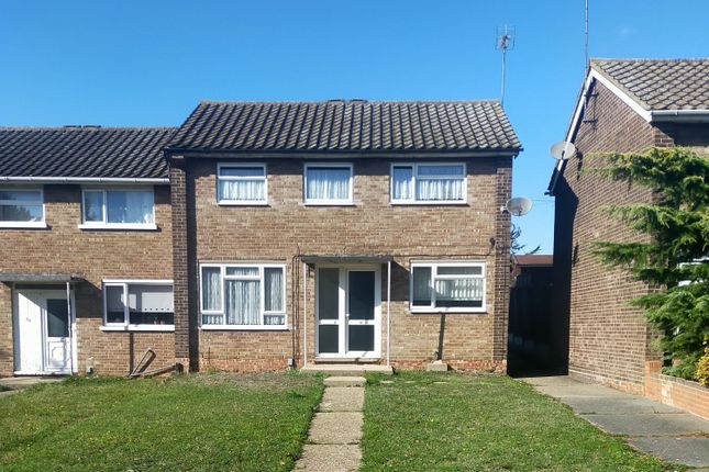 Property to rent in Dahlia Walk, Colchester