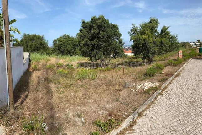 Land for sale in Coto, Leiria, Portugal