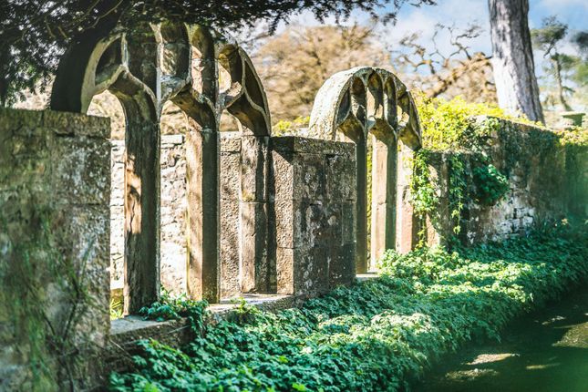 Chapel Garden