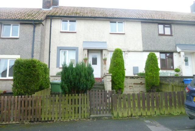 Thumbnail Terraced house to rent in Cheviot Road, Shilbottle, Northumberland