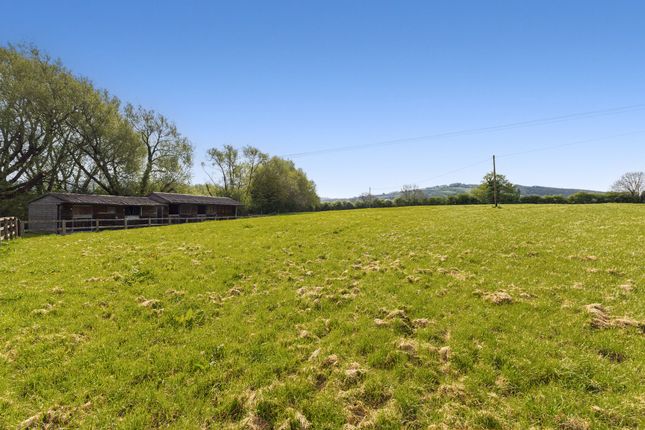 Isbourne, Millhampost Barn, Cheltenham photo 3