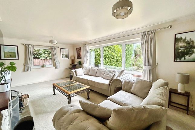 12 Beam Hollow, Farnham photo 4