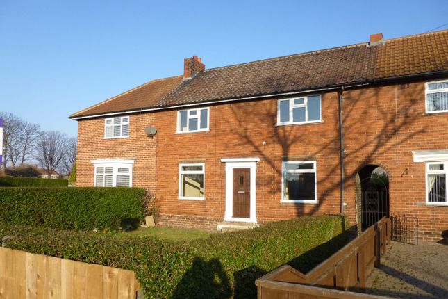 Thumbnail Terraced house to rent in Central Avenue, Billingham