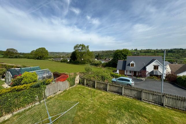 Rhosyn Ddraig, Newcastle Emlyn photo 3