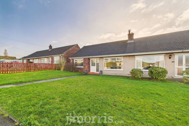 117 Maesglas, Cardigan photo 2