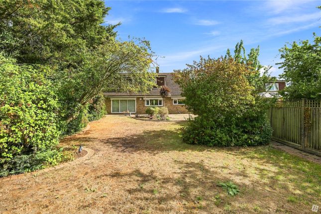 5, Chadwick Road, Chelmsford photo 4