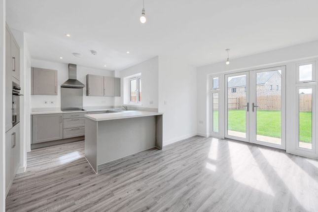 23 Daisy Lane, Newmarket photo 4