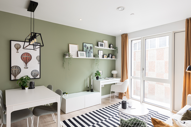 Pocket Show Home