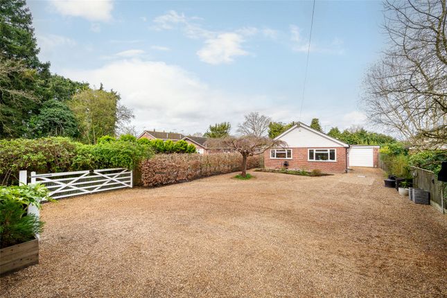 Thumbnail Bungalow to rent in Nine Mile Ride, Finchampstead, Wokingham, Berkshire