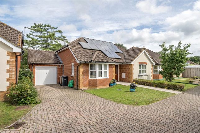 Thumbnail Detached bungalow for sale in Dibble Drive, North Baddesley, Southampton, Hampshire