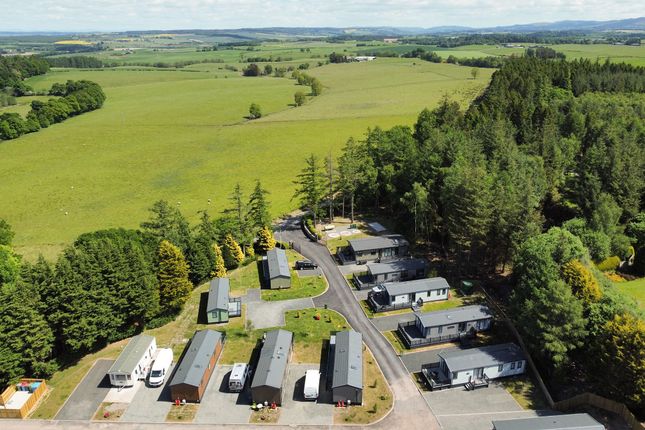 Forrest Lodge (Beckwood) Tullibardine Park, Auchterarder photo 3