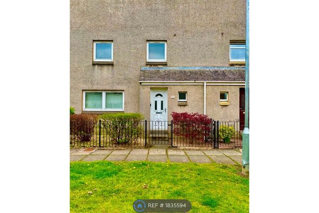 Thumbnail Terraced house to rent in Spruce Road, Cumbernauld, Glasgow