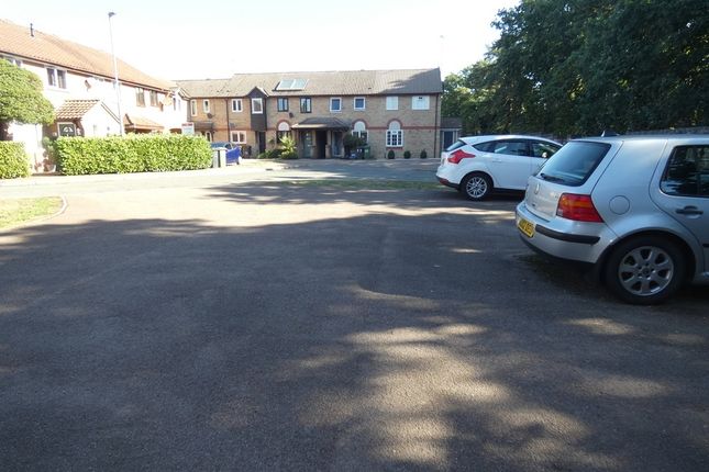 40, Columbine Close, Thetford photo 5