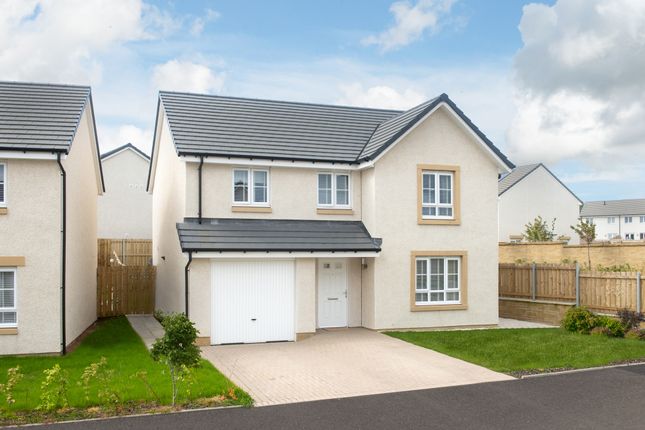 Thumbnail Detached house for sale in "Crombie" at Pineta Drive, East Kilbride, Glasgow