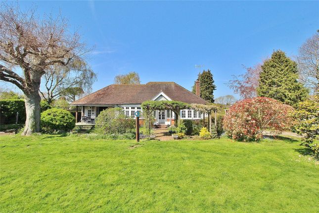 Thumbnail Bungalow for sale in Burford Close, Worthing, West Sussex