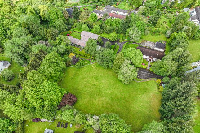 Sprawlie, Buchanan Castle Estate Drymen, Glasgow photo 3