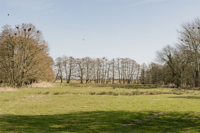 Land