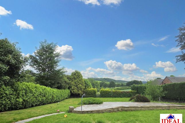 Garden.Jpg