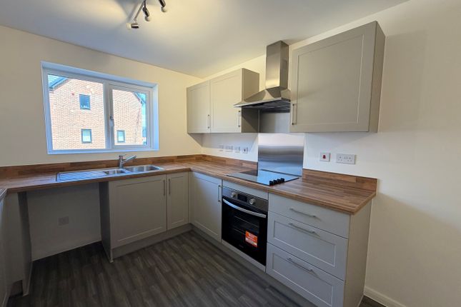 19, Wellingborough photo 2