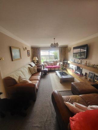 Crescent House, Newport photo 4