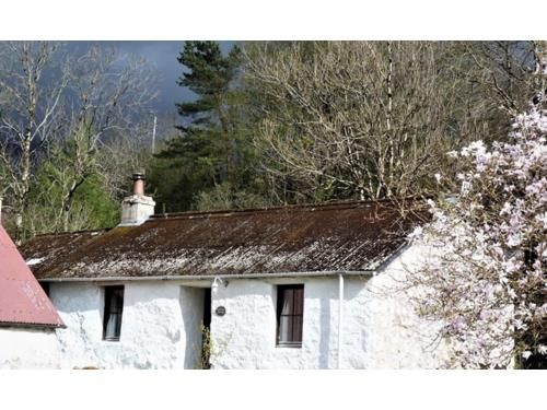 Thumbnail Cottage to rent in Ichrachan, Taynuilt