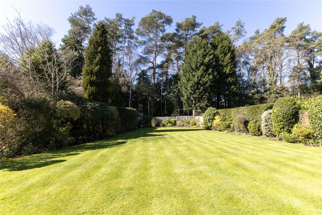 24, Tudor Close, Hindhead photo 2