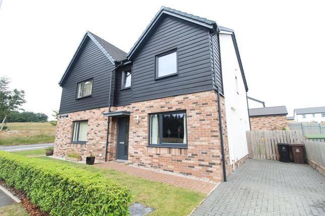 Thumbnail Semi-detached house to rent in Countesswells Park Place, Countesswells