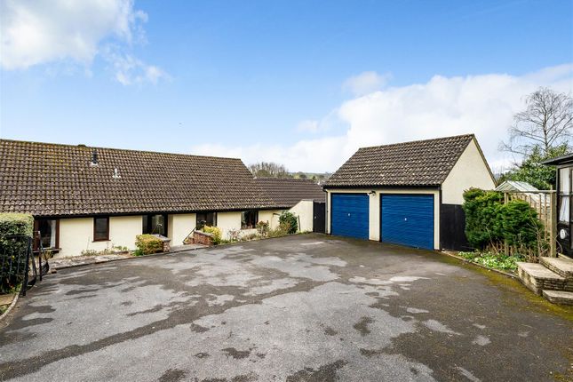 Thumbnail Detached bungalow for sale in Millbrook Dale, Axminster
