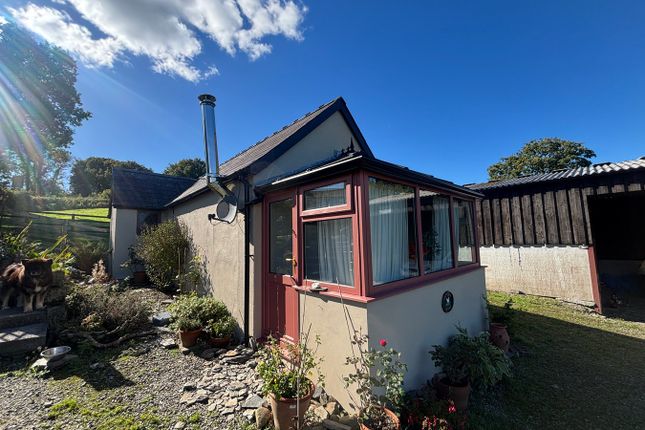 Gwynfryn, Gwyddgrug, Pencader photo 4