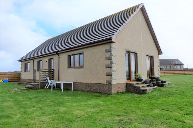 Thumbnail Bungalow for sale in Wick