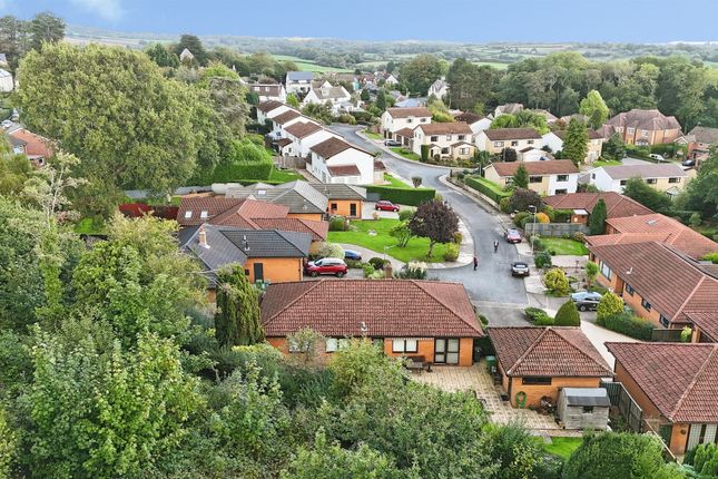5, Clos Coedydafarn, Cardiff photo 2