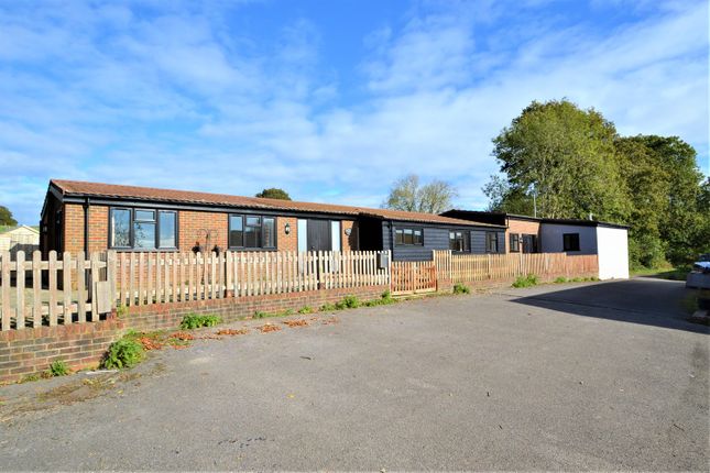Detached bungalow to rent in Pickhurst Lane, Pulborough, West Sussex
