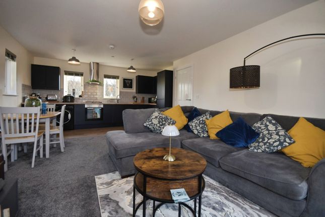 Apartment 3 14a,, Sussex Road, South Yorkshire photo 2
