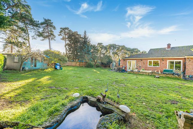31, Moulton Avenue, Kentford photo 2