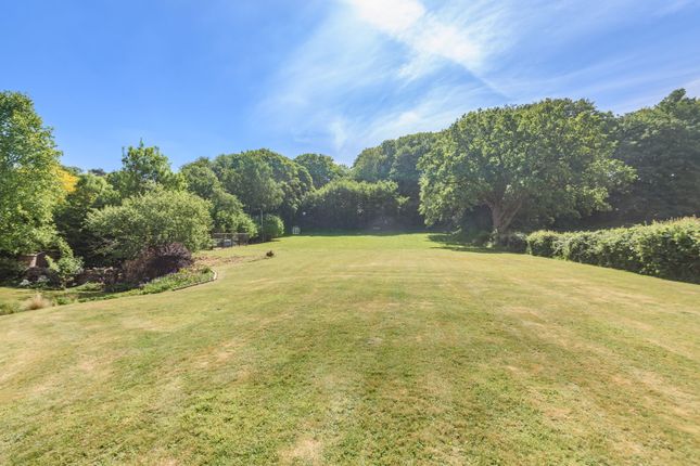 Grounds