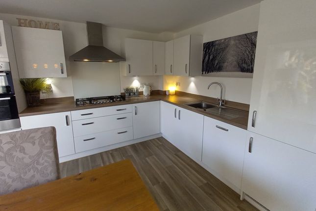 36 Goldcrest Crescent, Wynyard, Billingham photo 4