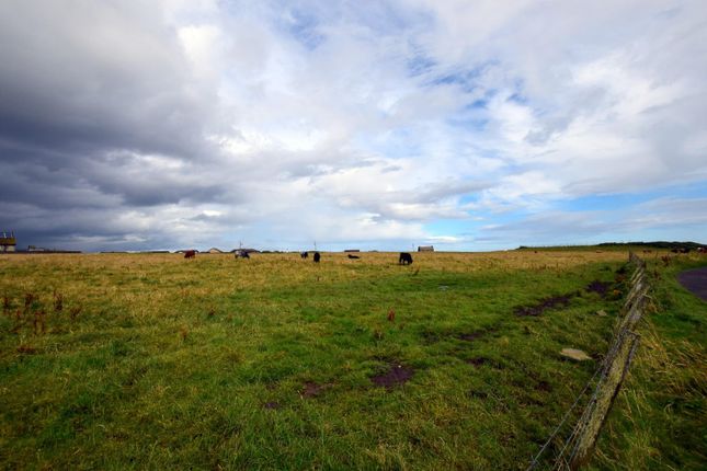 Thumbnail Land for sale in Murray Avenue, Wick