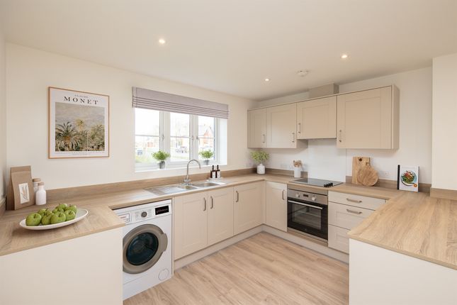 16, Nelson Avenue, Ipswich photo 4