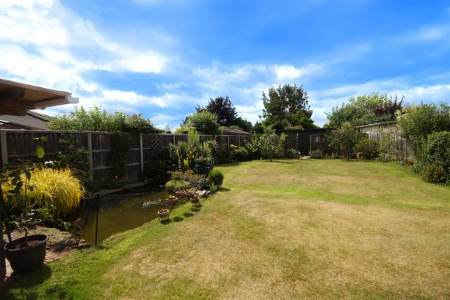 Garden.Jpg